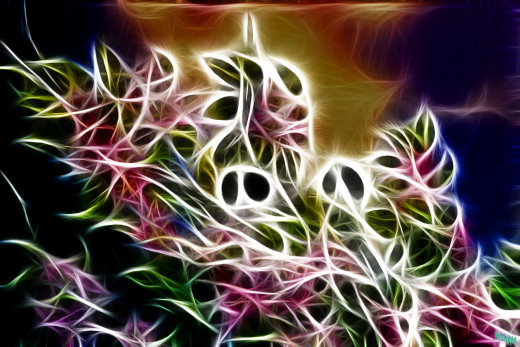 529169 (a): :1800x1200